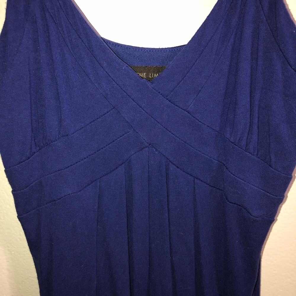 Limited purple/blue dress